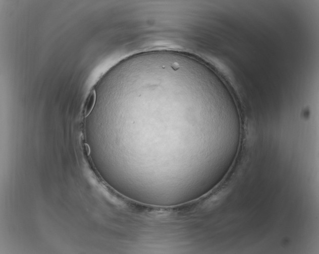 X0000116311373200912211913