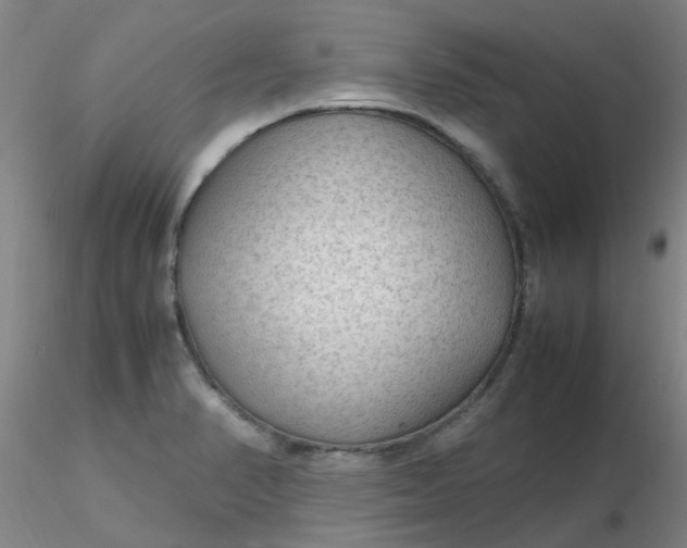 X0000116311374200912211913