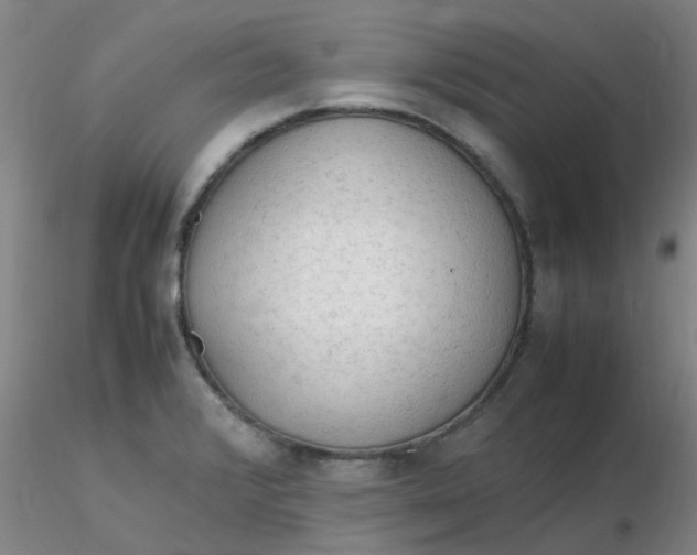 X0000116311376200912211913