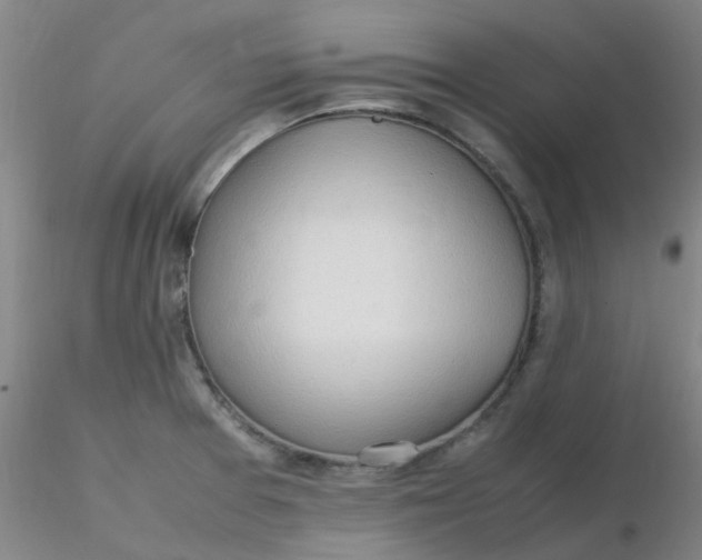 X0000116311377200912211913