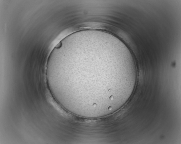 X0000116311378200912211913