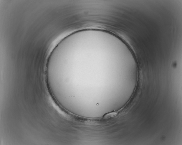 X0000116311379200912211913