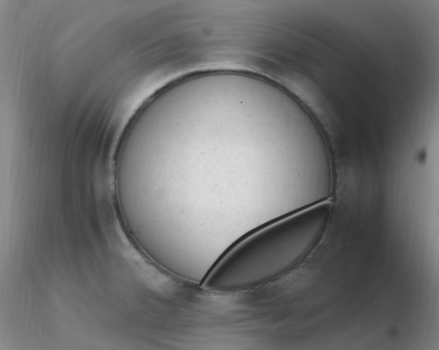 X0000116311380200912211913