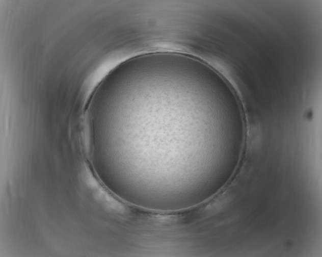 X0000116311381200912211913