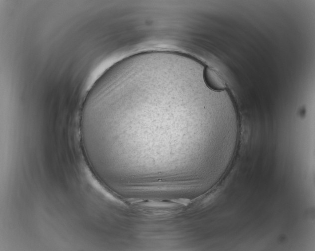 X0000116311382200912211913