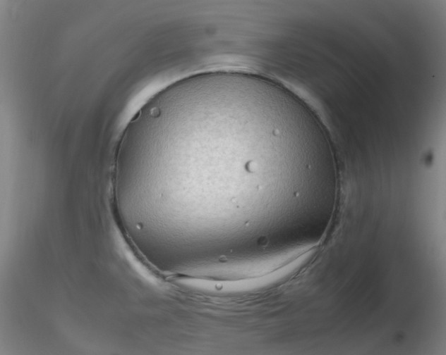 X0000116311383200912211913