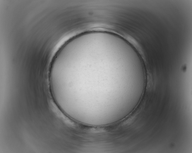 X0000116311384200912211913