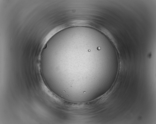 X0000116311386200912211913