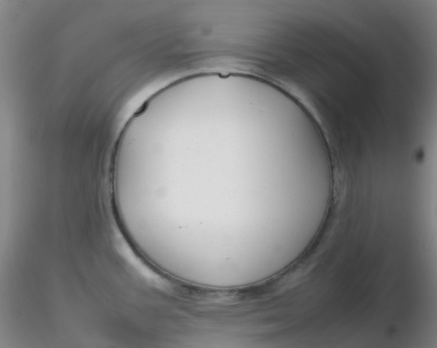 X0000116311387200912211913