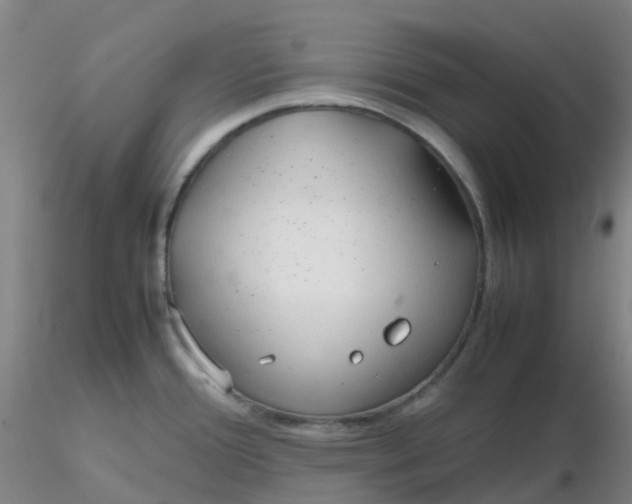 X0000116311388200912211913