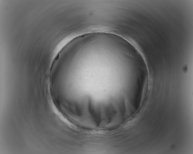 X0000116311389200912211913