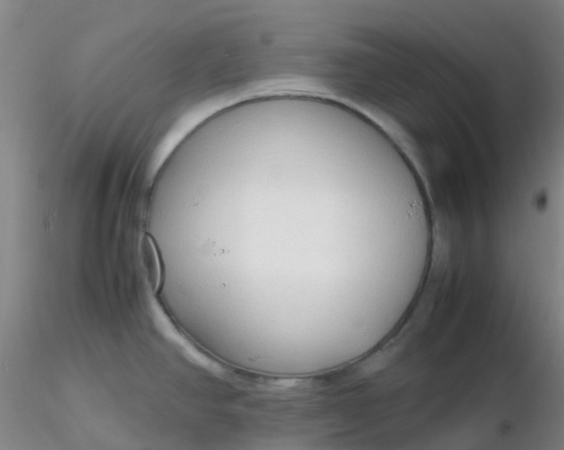 X0000116311390200912211913