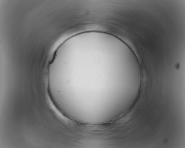 X0000116311391200912211913