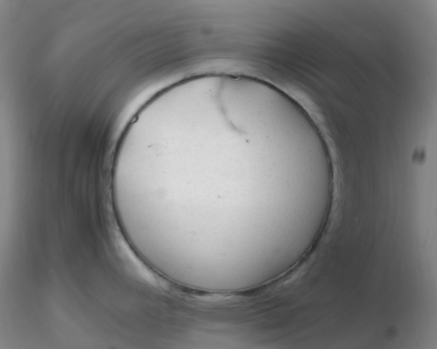 X0000116311392200912211913