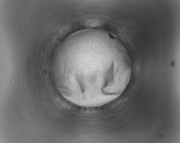 X0000116311393200912211912