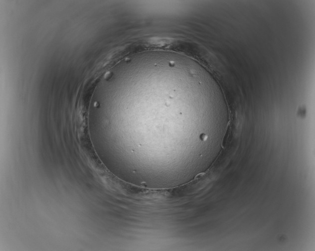 X0000116311394200912211912