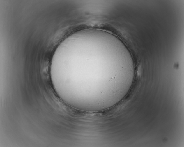 X0000116311396200912211912