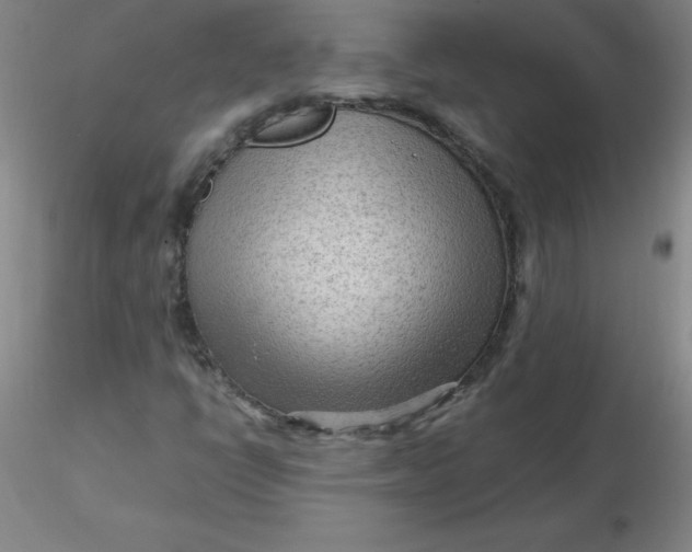 X0000116311398200912211912