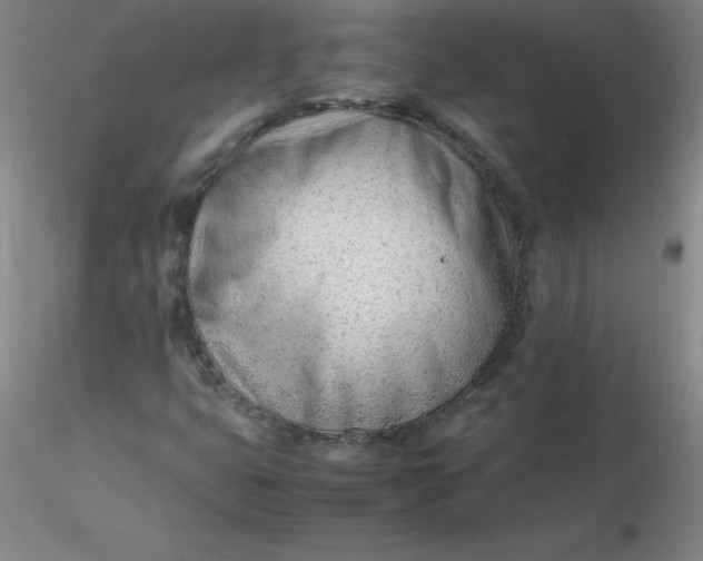 X0000116311399200912211912