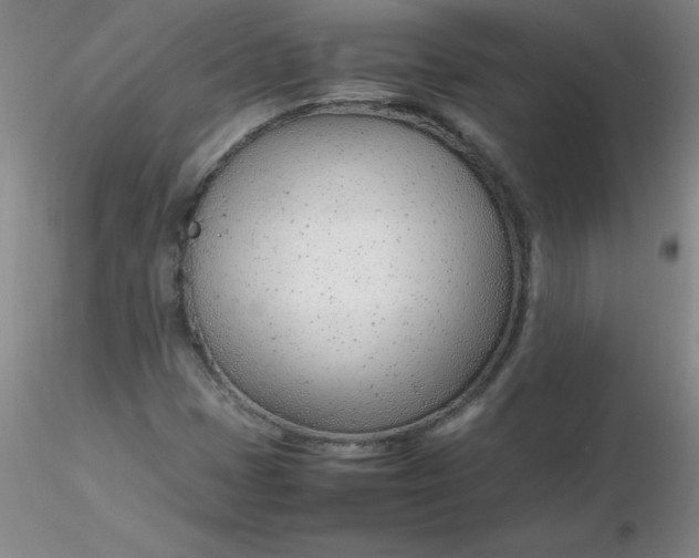 X0000116311401200912211913