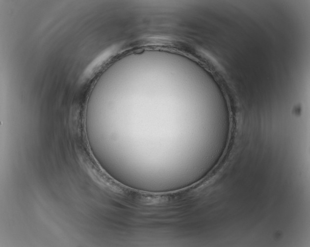 X0000116311403200912211913