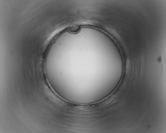 X0000116311404200912211913