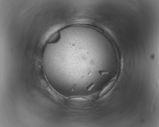 X0000116311405200912211913