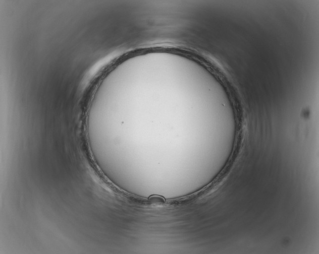 X0000116311406200912211913