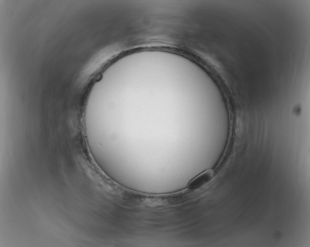 X0000116311407200912211913