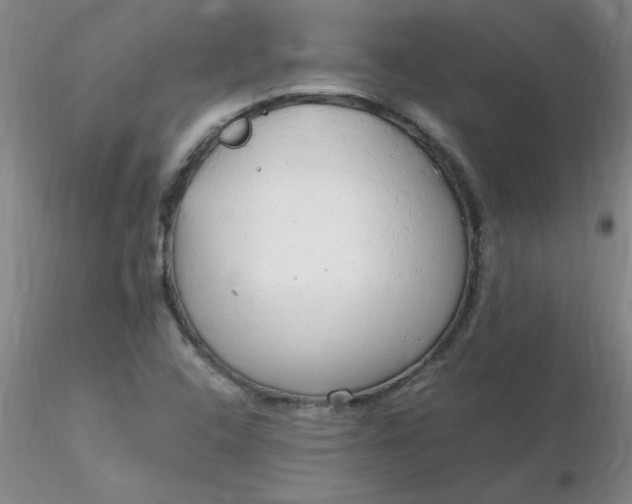 X0000116311408200912211913