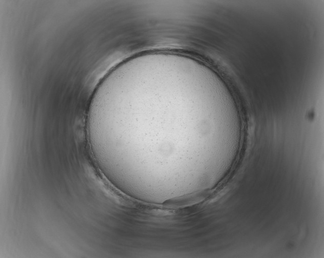 X0000116311409200912211913