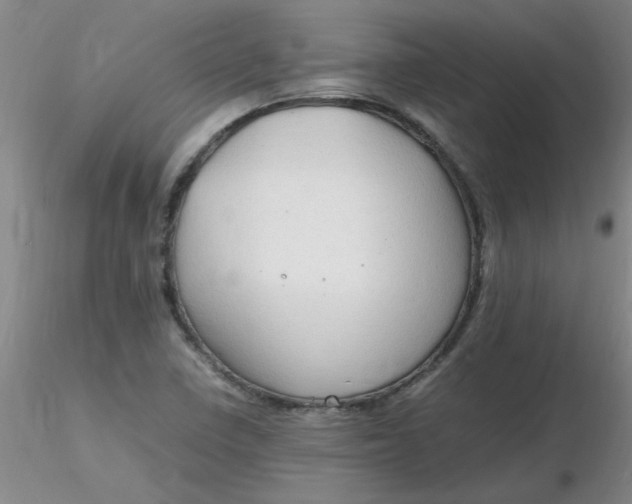 X0000116311410200912211913