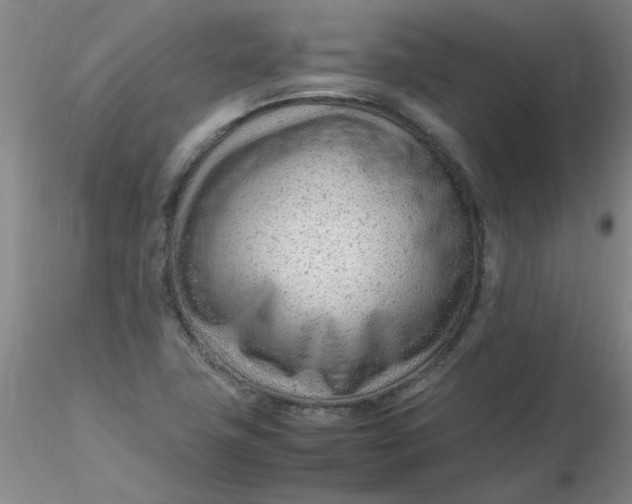 X0000116311411200912211913