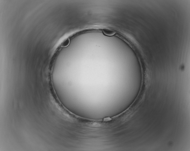 X0000116311412200912211913