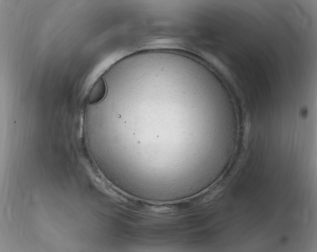 X0000116311413200912211913