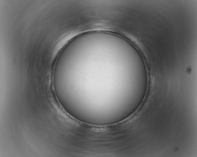 X0000116311415200912211913