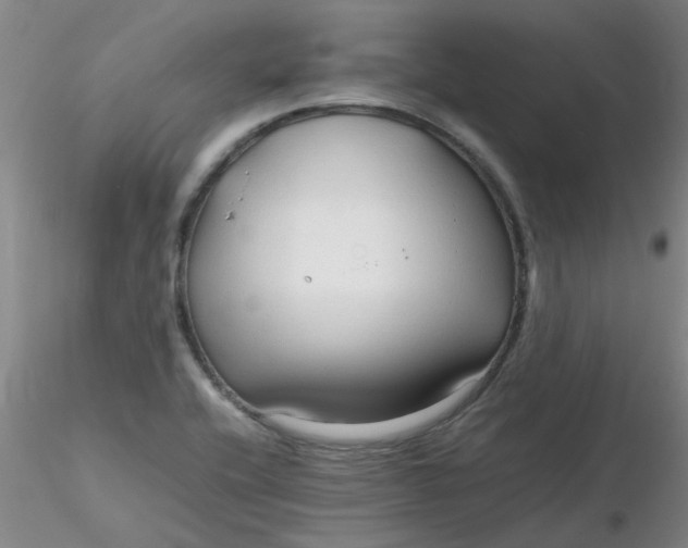 X0000116311416200912211913