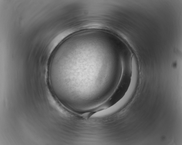 X0000116311418200912211913