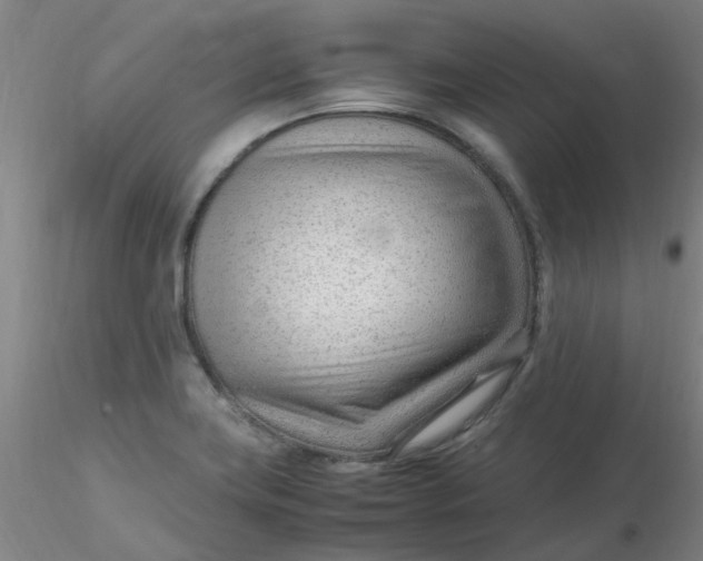 X0000116311419200912211913