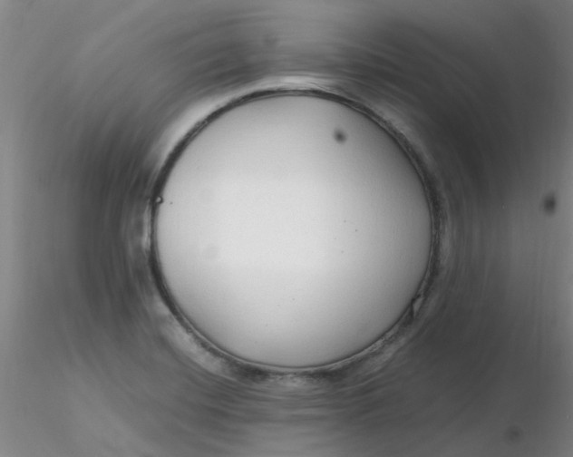 X0000116311420200912211913