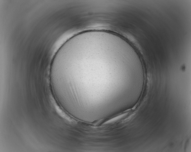 X0000116311421200912211913