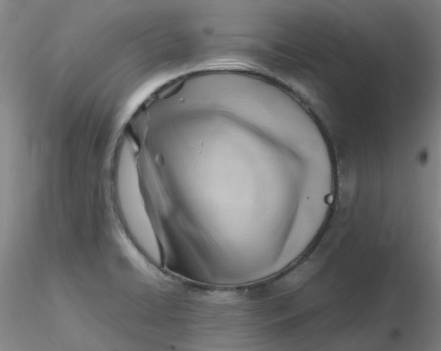 X0000116311422200912211913