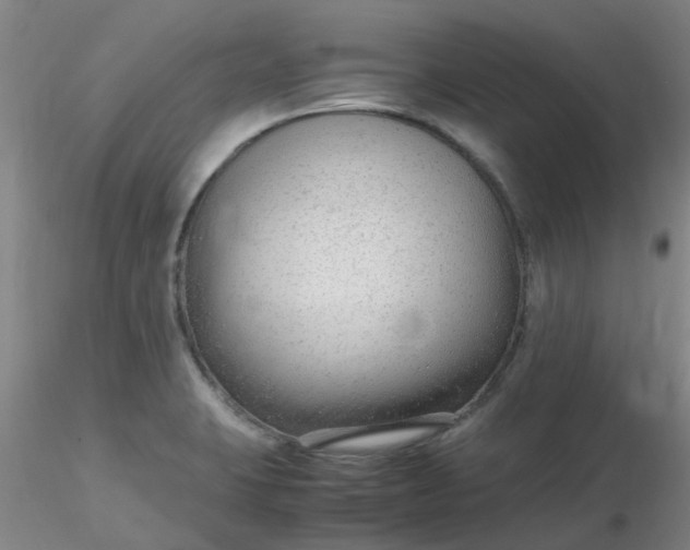 X0000116311423200912211913