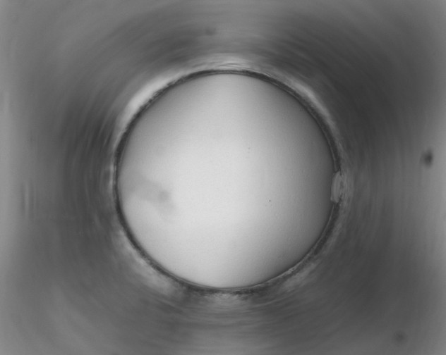 X0000116311424200912211913