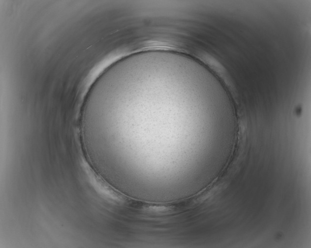 X0000116311427200912211913