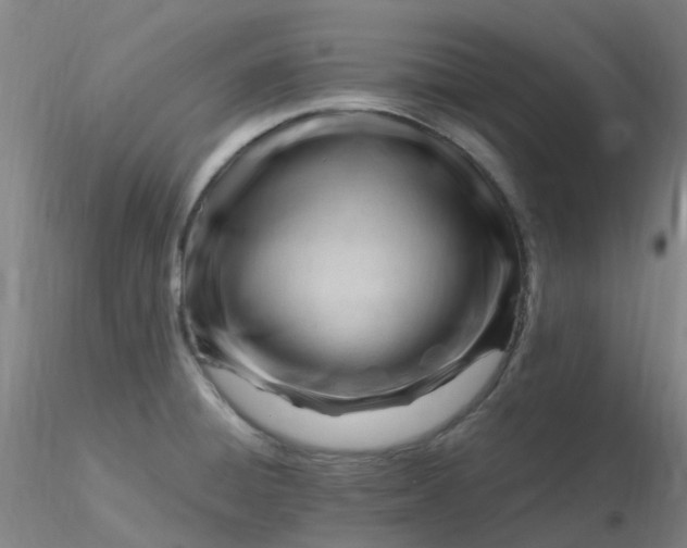 X0000116311428200912211913