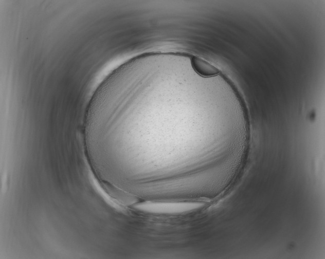 X0000116311429200912211913