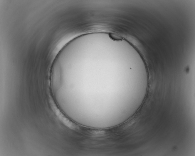 X0000116311431200912211913