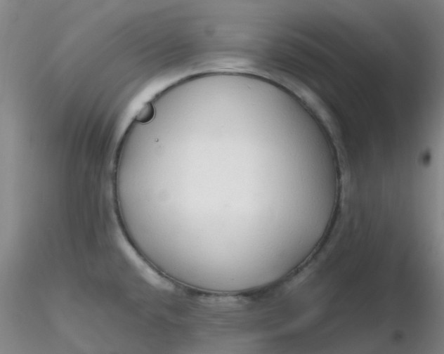 X0000116311432200912211913