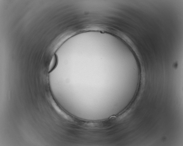 X0000116311433200912211913